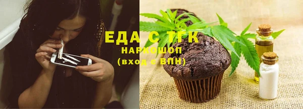 индика Аркадак