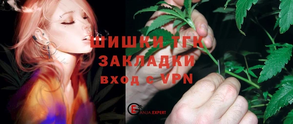 индика Аркадак