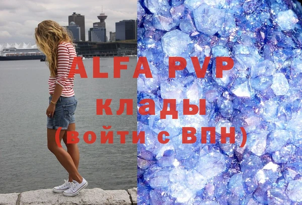 индика Аркадак