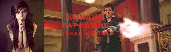 индика Аркадак