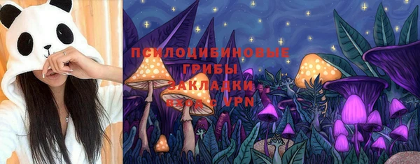 тгк Армянск