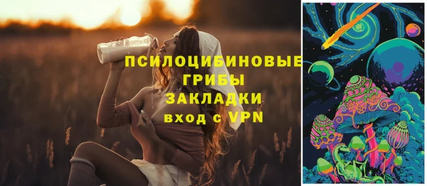 индика Аркадак
