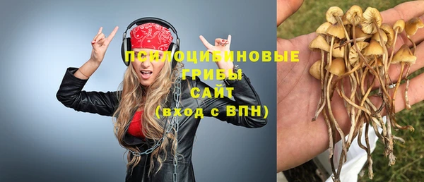 тгк Армянск