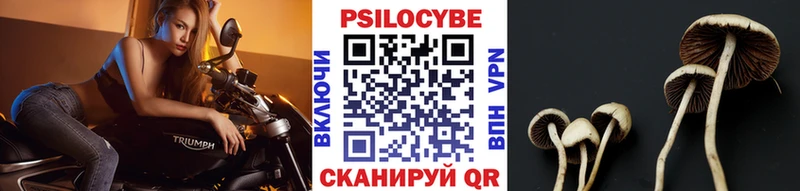 Галлюциногенные грибы прущие грибы Малоярославец